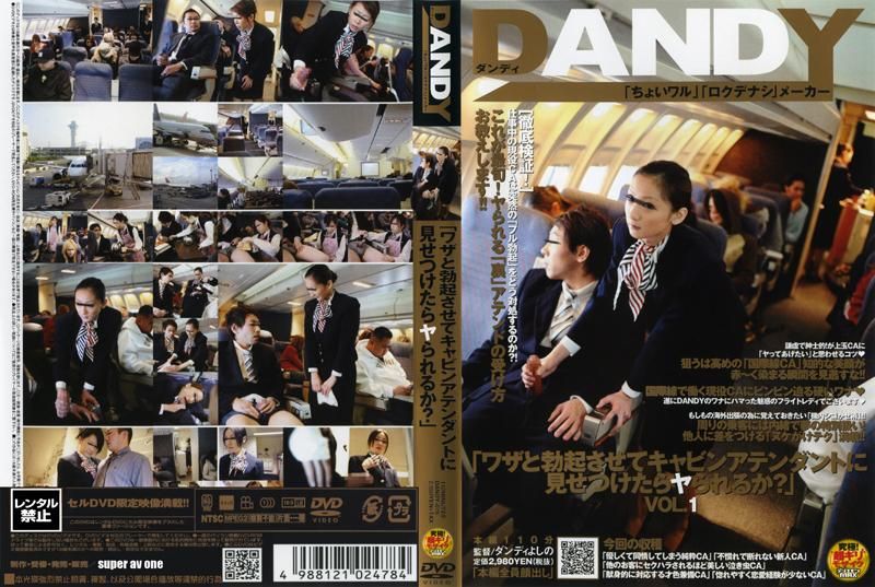 DAOOY-079 「ワザと勃起させてキャビンアテンダントに見せつけたらヤられるか？」