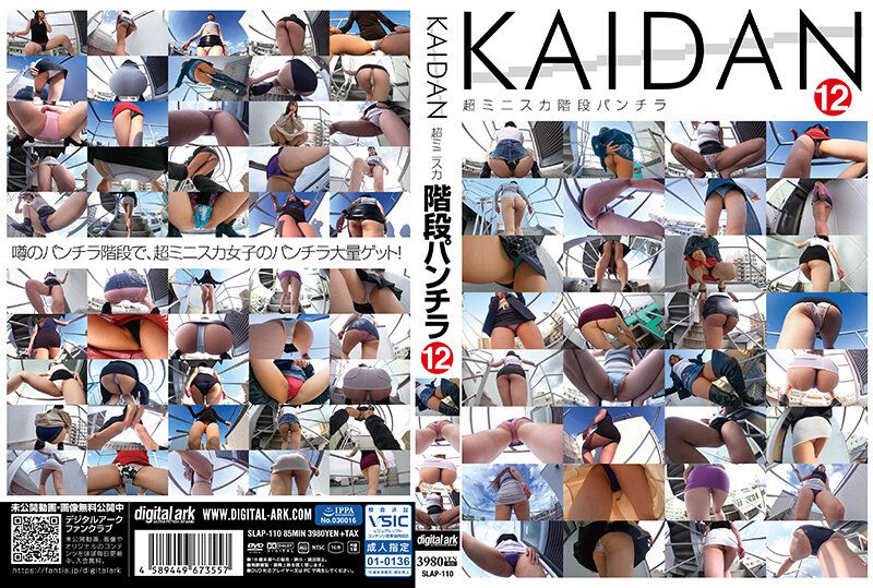 SLAP-110 階梯12