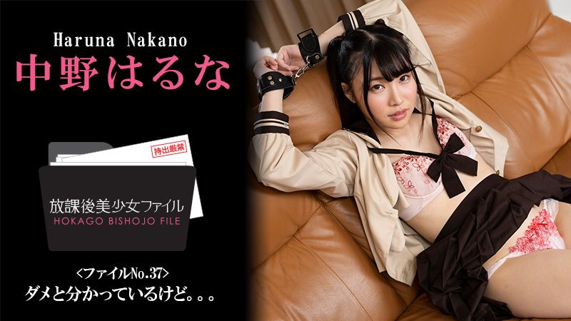 HEYZO-3044 放課後美OO檔案 No.37～雖然知道是不行的...～ 中野陽菜