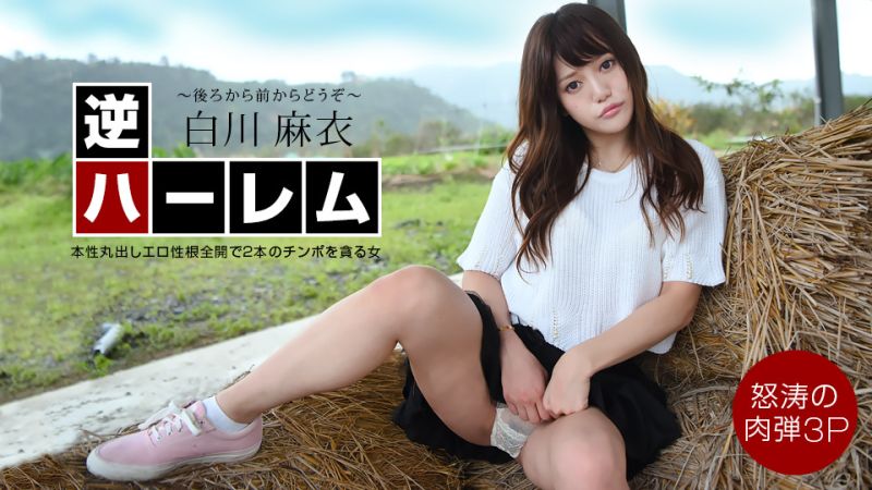 1poOOo_040222_001 逆後宮 ～請自後方到前方！～ 白川麻衣