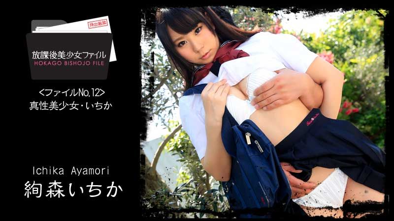 HEYZO-1060 放課後美OO檔案 No.12～真性美OO・一花～