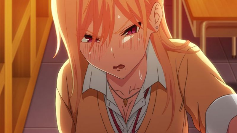  性欲波濤洶湧 THE ANIMATION 第1卷