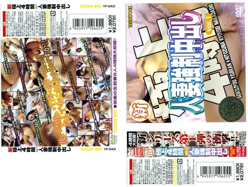 YF-043 新　極上４時間　ＶＯＬ．１　人妻OO中出し
