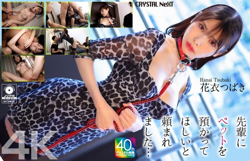 CRNX-254 【4K】被前輩拜託要幫忙照顧寵物… 花衣椿